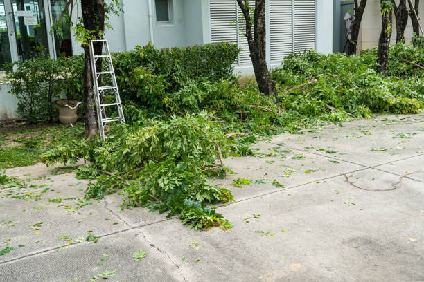 Mulching Services in Rosebud, TX
